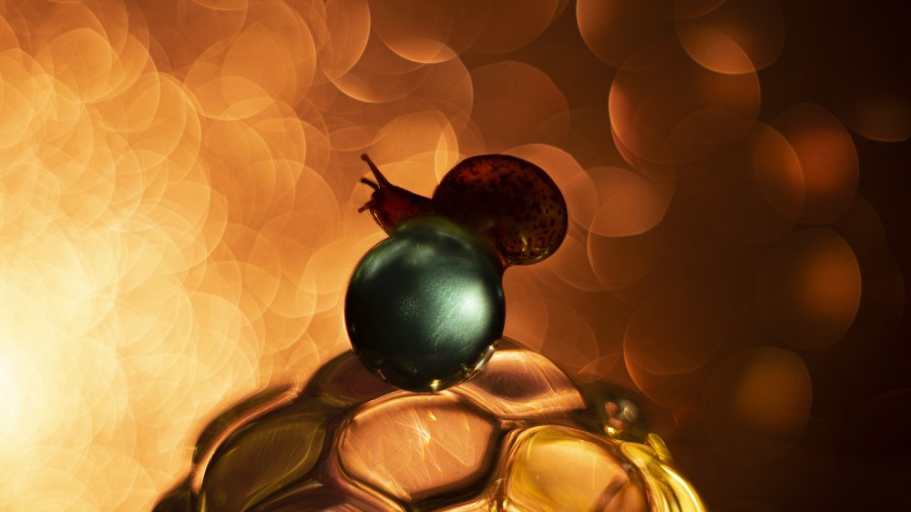 Фотография автора Андрей Сосновский