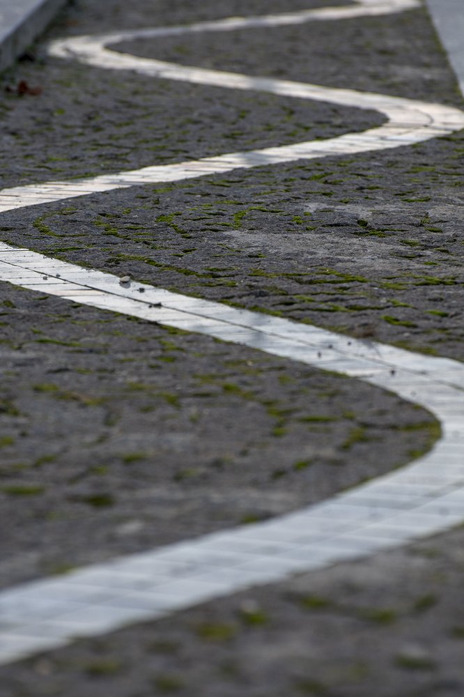 Photograph by Tatiana Zuikova