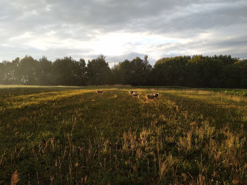 Photograph by Вера Демиденко