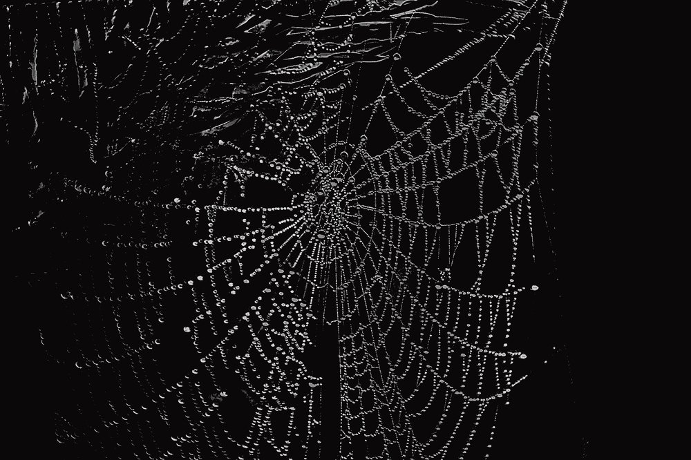 Photograph by Дмитрий Волков