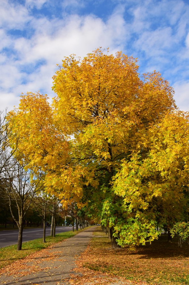 Photograph by Татьяна Мельник