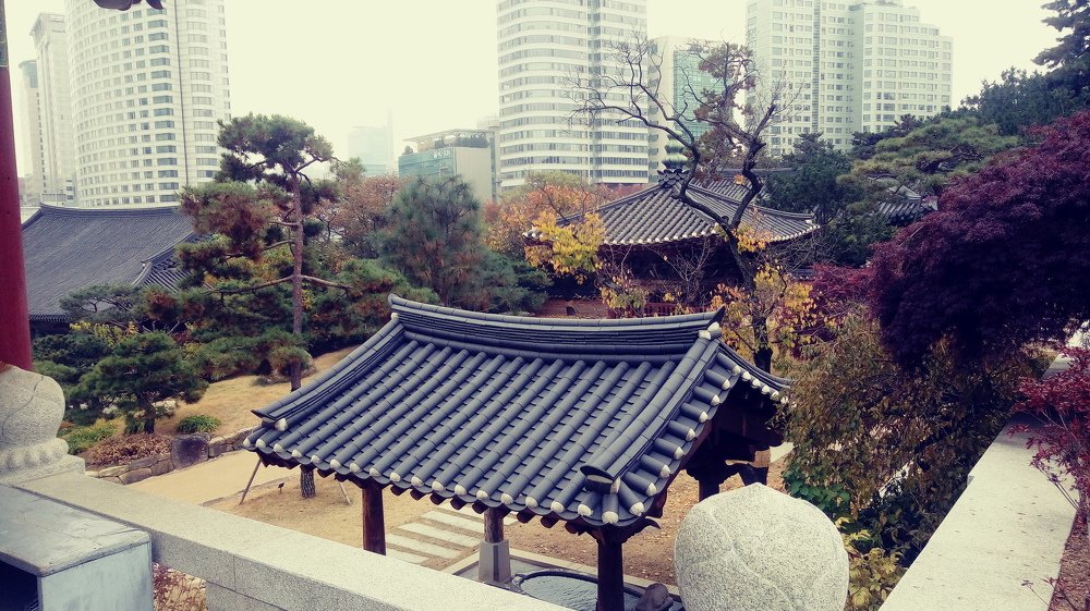 Photo #3995966
