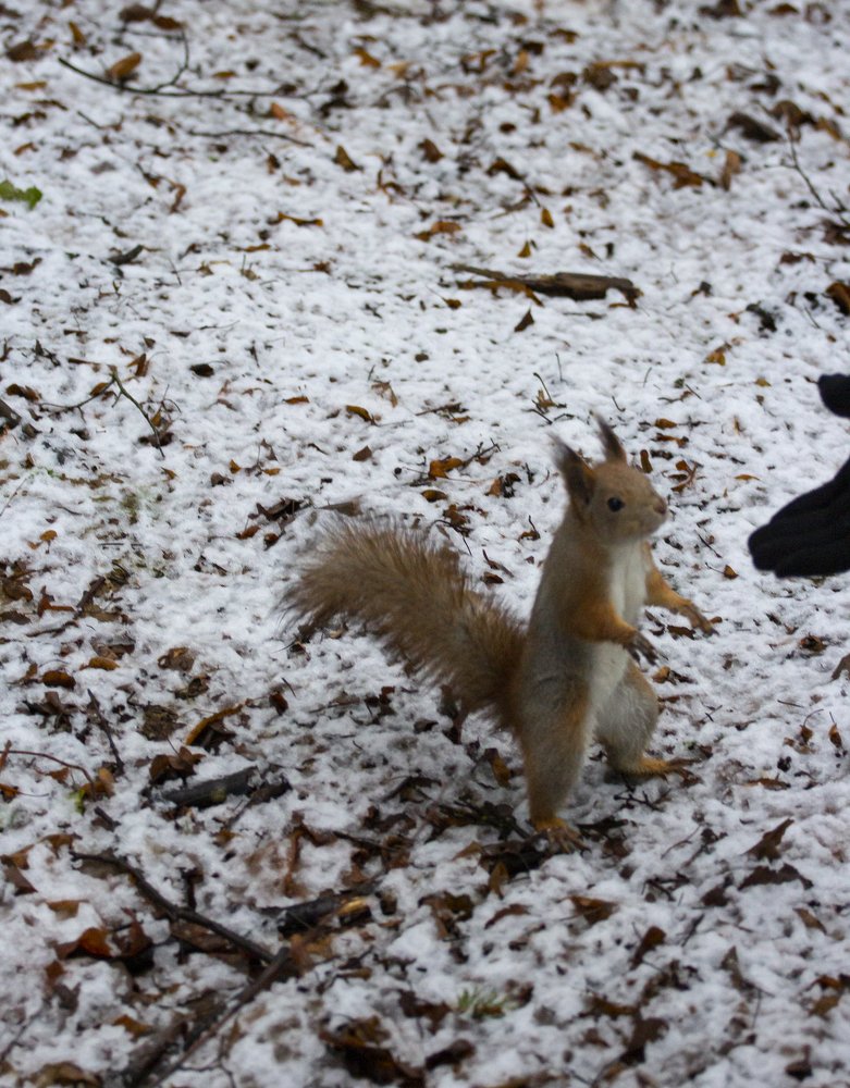 Photograph by Мария Никитина