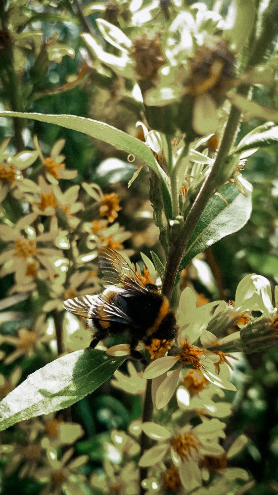 Photograph by Ирина Львова