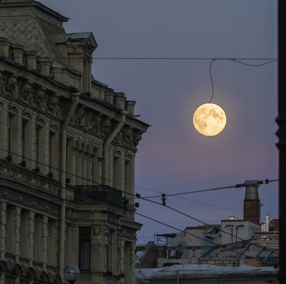 Photograph by Павел Жданов