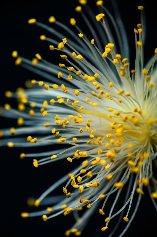 Photograph by Яна Ленчевская