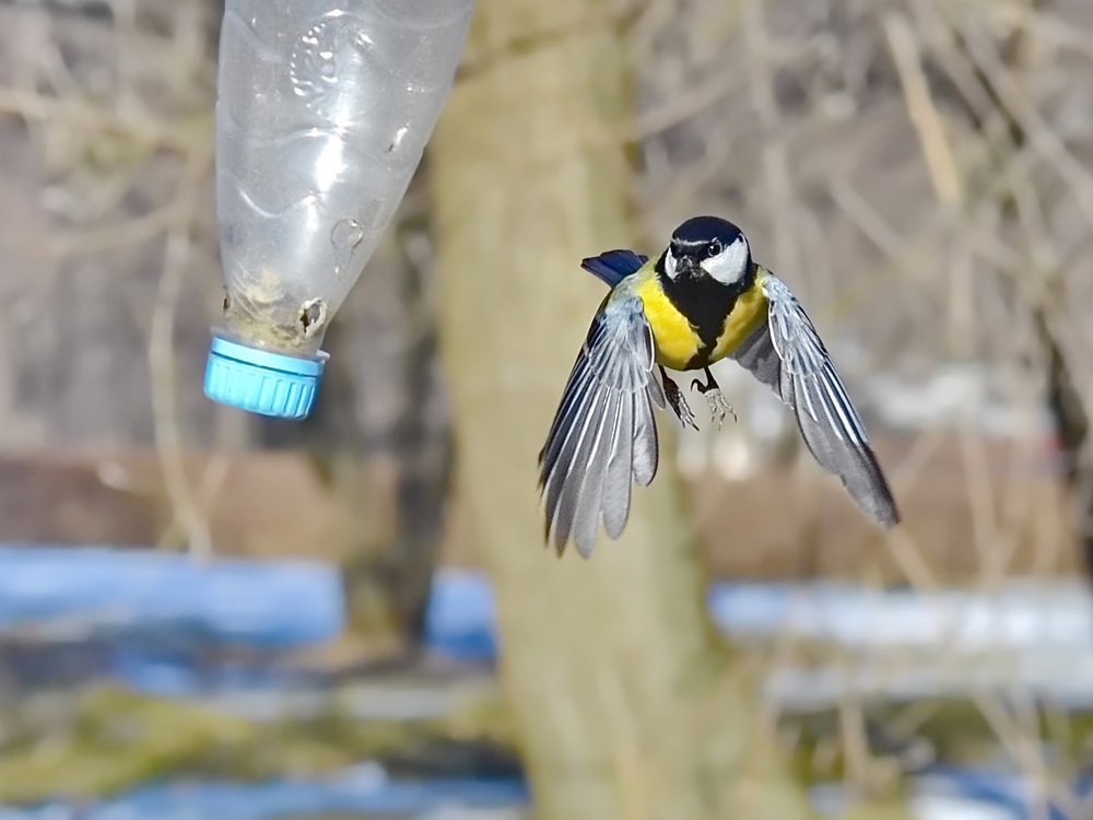 Полет за едой