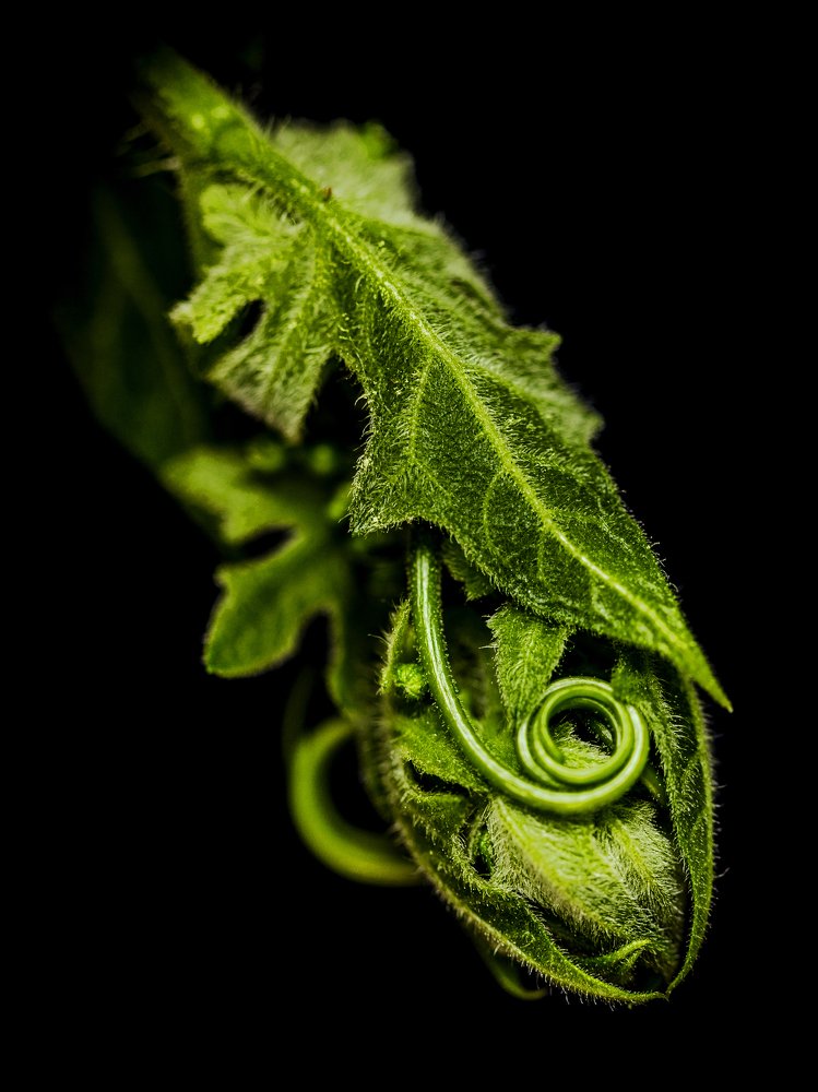 Photograph by Яна Ленчевская