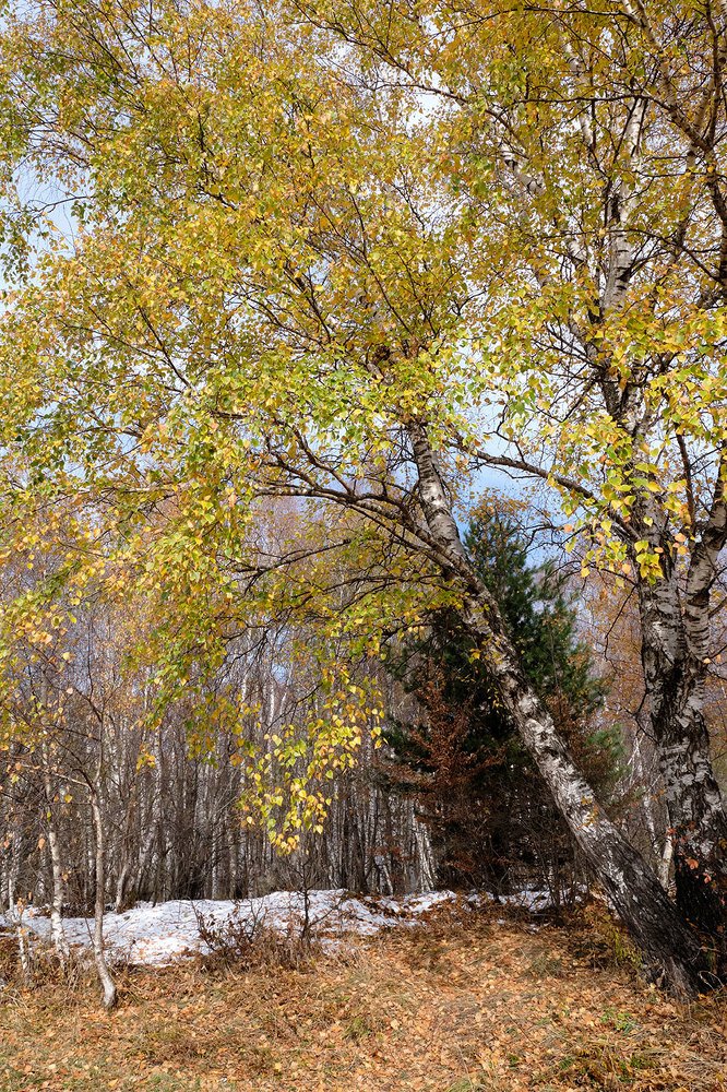 Photograph by Vasiliy Kuvakin