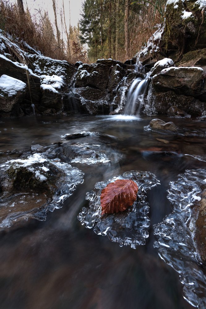 Photograph by Filip Micunda