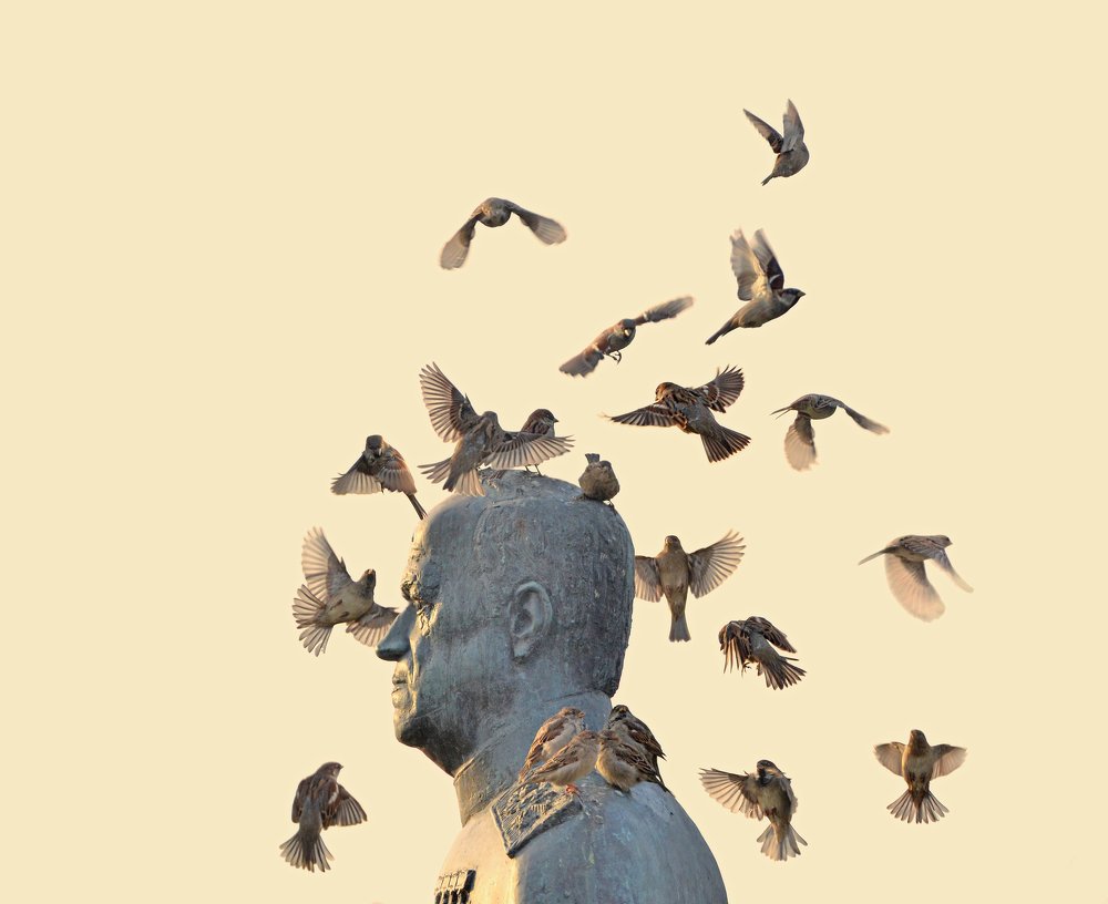 Битва заместо