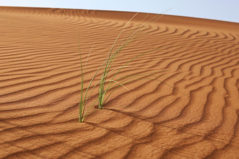 Photograph by Наталья Валевская