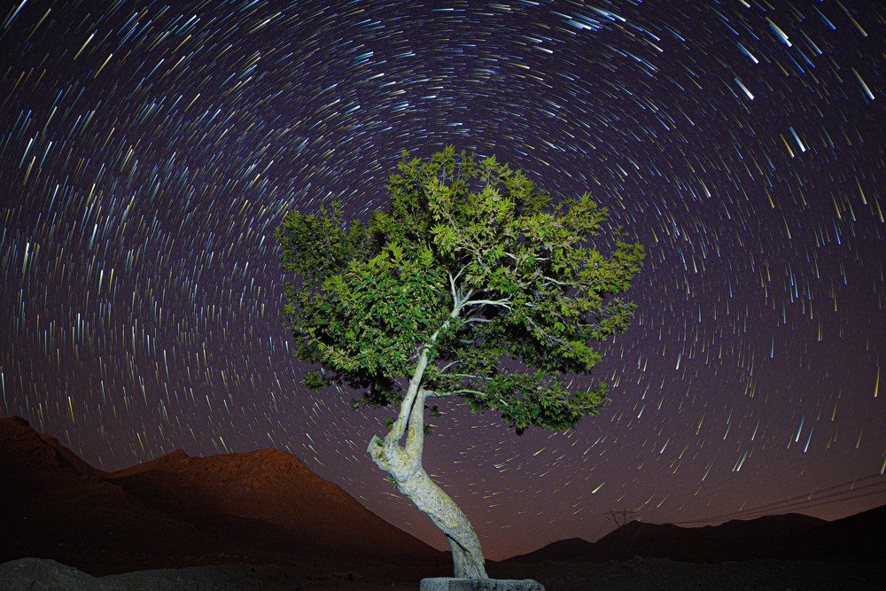 Photograph by  Reza Mohammadi