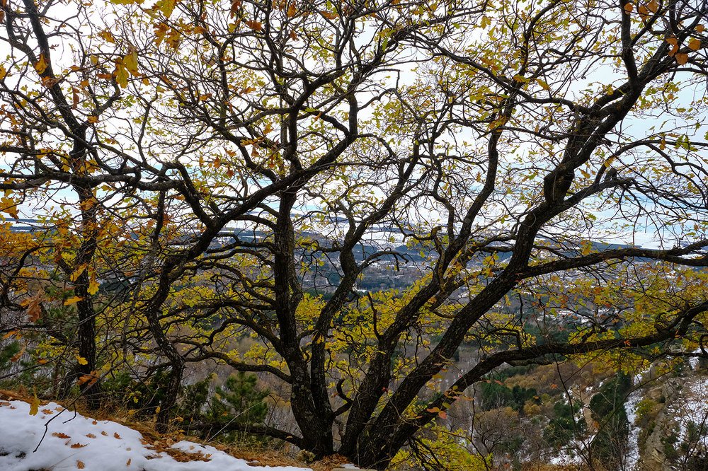 Photograph by Vasiliy Kuvakin