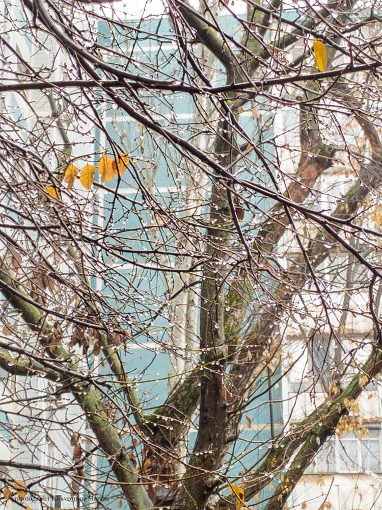 Photograph by Марина Хавронина