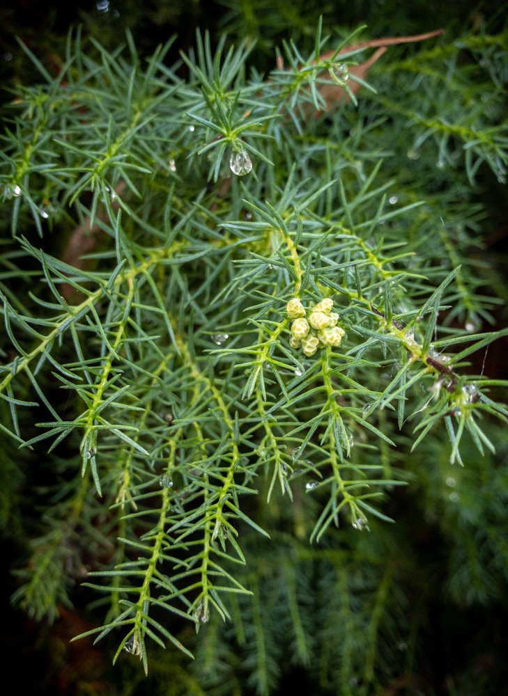 Photograph by Марина Хавронина