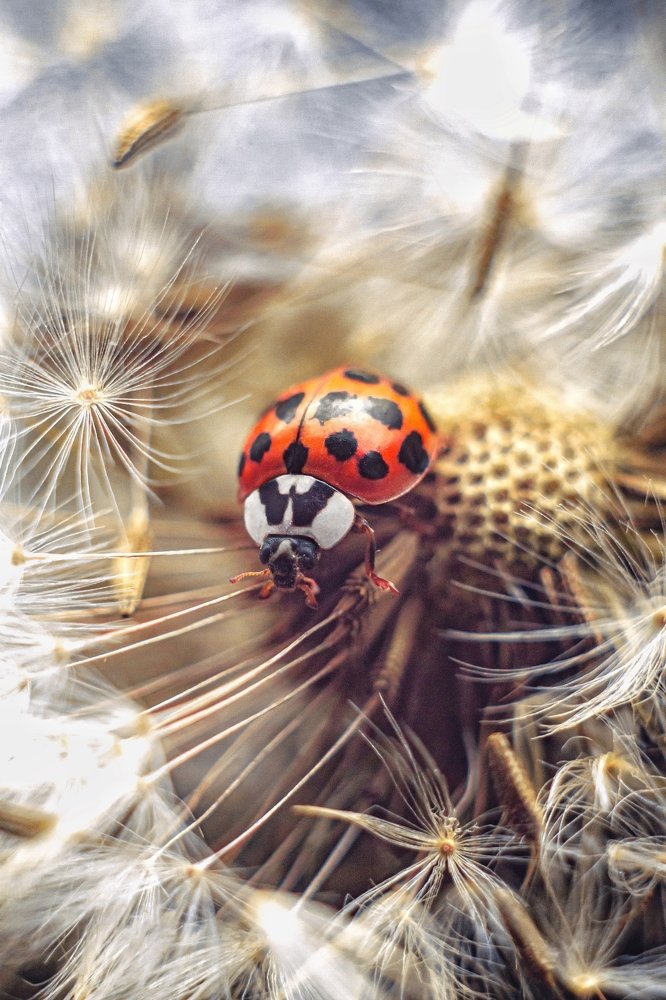 Photograph by Евгений Горланов