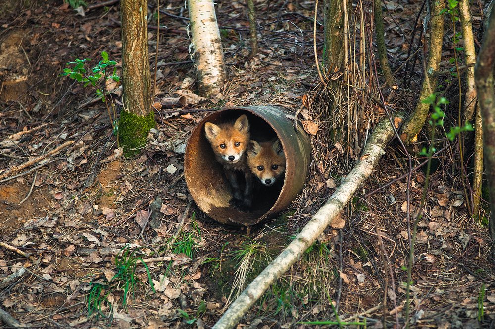 Дом,в котором мы живём