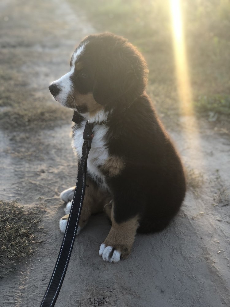 Photograph by Анастасия Лясович