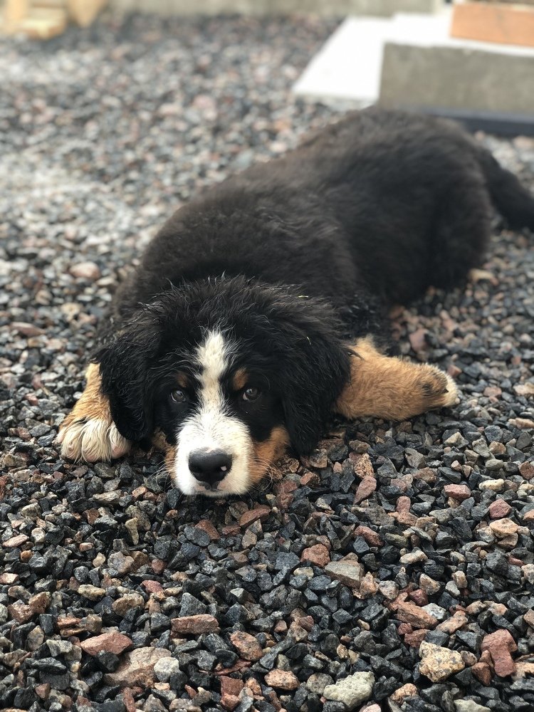 Photograph by Анастасия Лясович