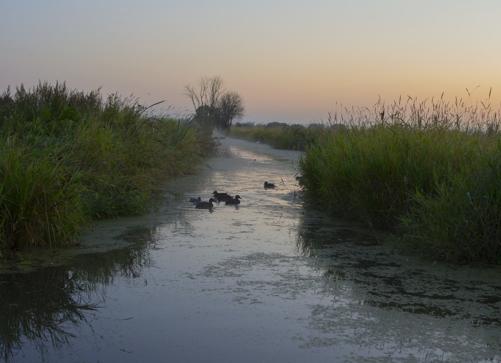 Photograph by Илья Бачурин