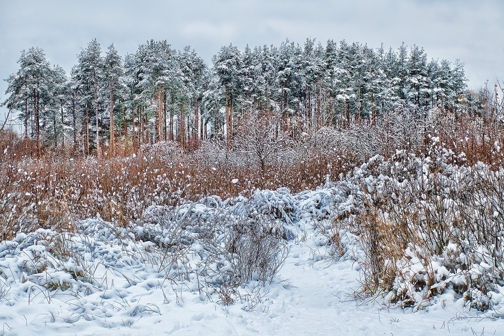 Photograph by Marina Baccardi