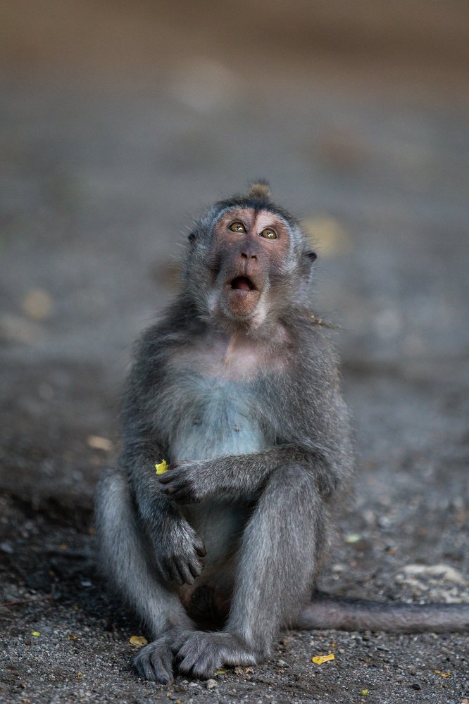 Photograph by Роман Сидоренко