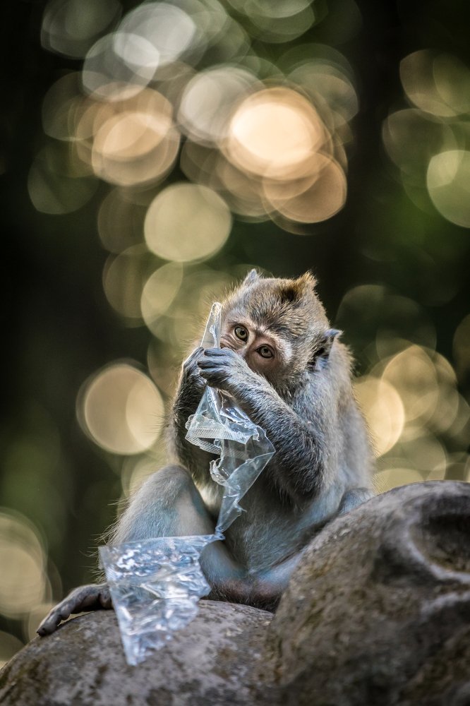 Photograph by Роман Сидоренко