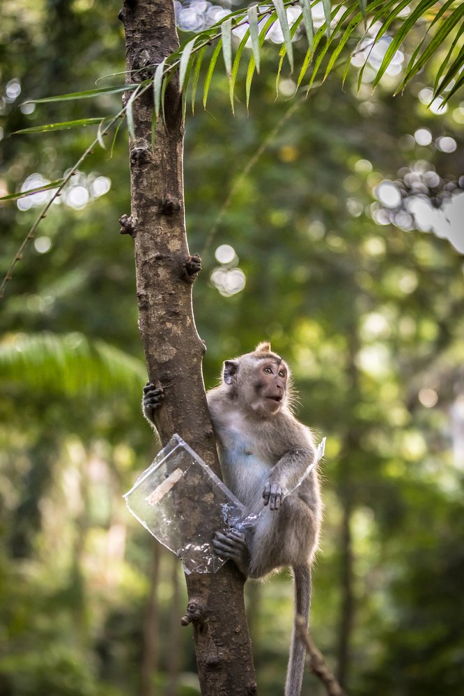 Photograph by Роман Сидоренко