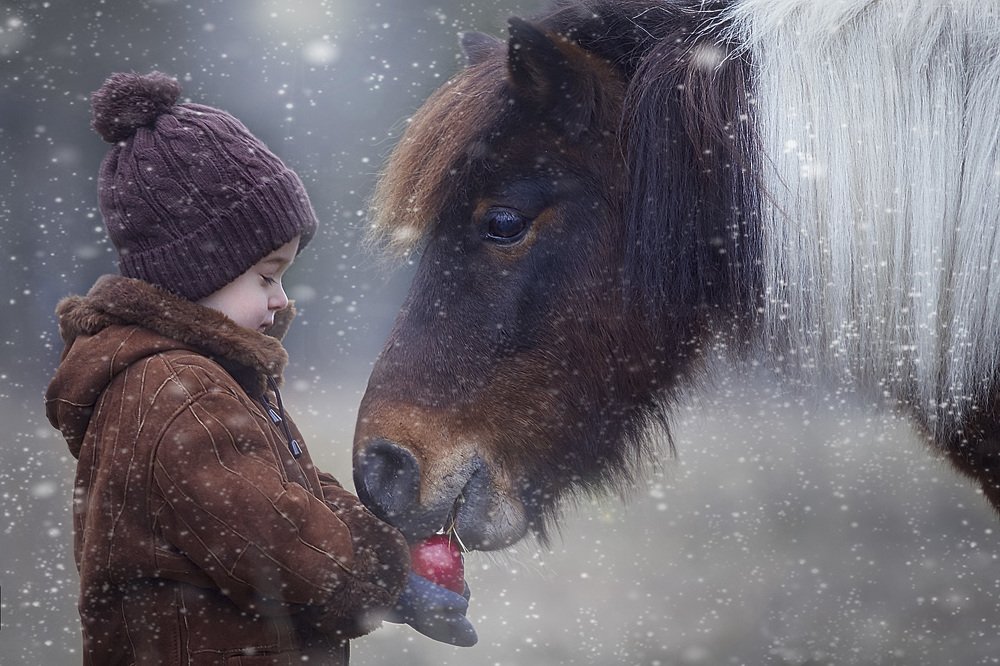 Photograph by Ольга Князева