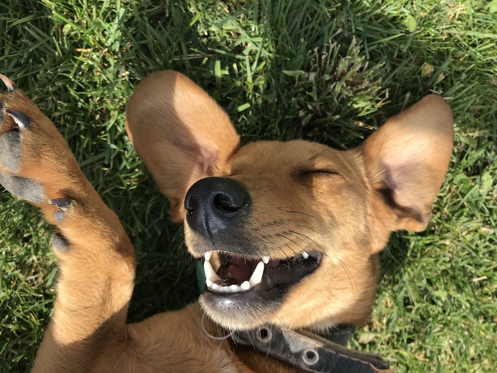 Photograph by Анастасия Лясович