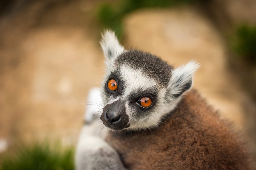 Photograph by Marta Kuta