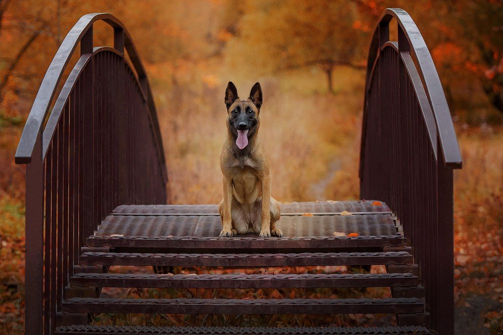 Photograph by Irina Kovaleva