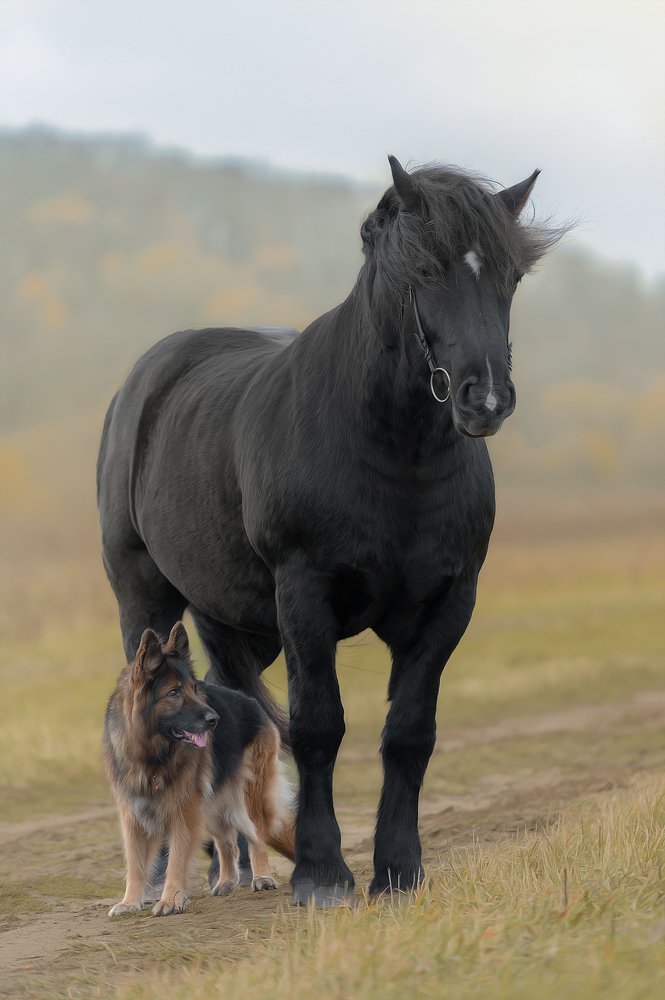 Photograph by Irina Kovaleva