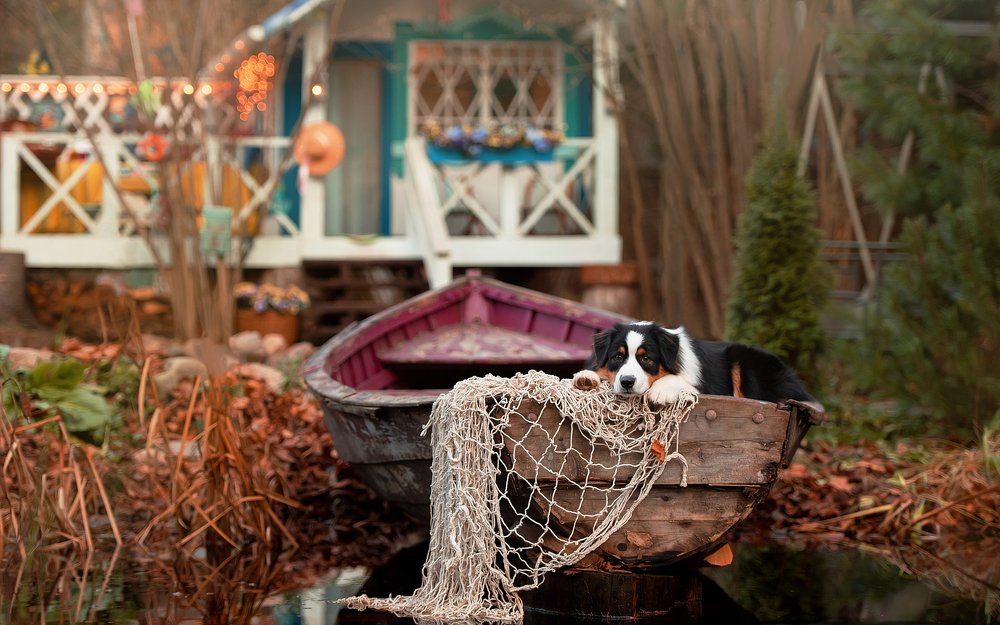 в ожидании...