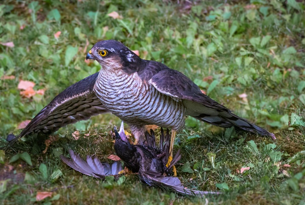 Photograph by Курлянцев Алексей