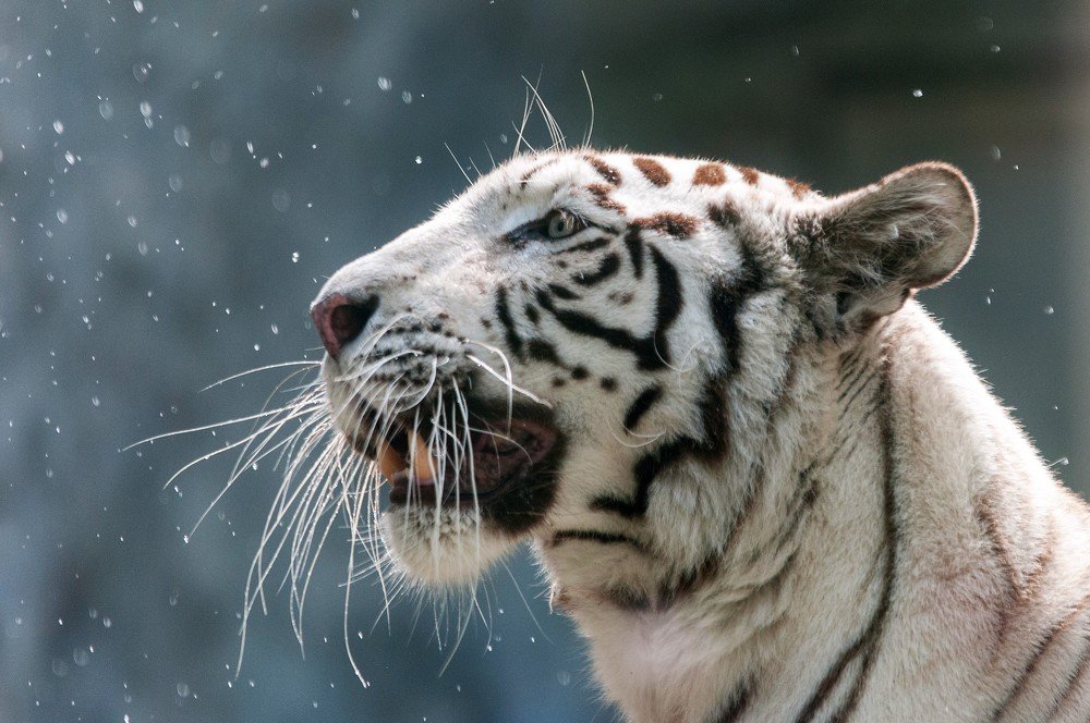 Photograph by Jose Dominguez