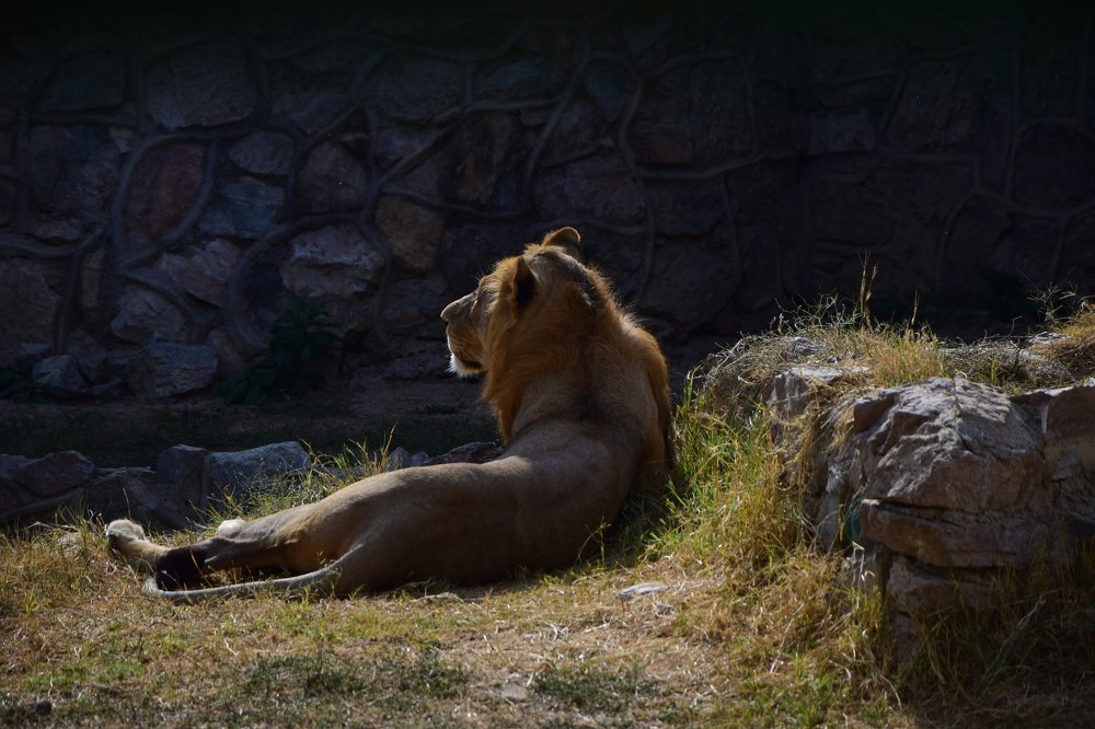 Photograph by Марина Белькова