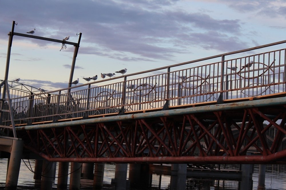 Photograph by Дарья Молодцова