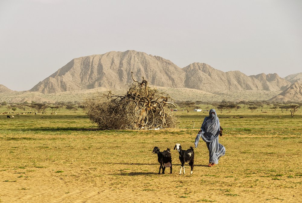 Фотография автора Sherine El Mously