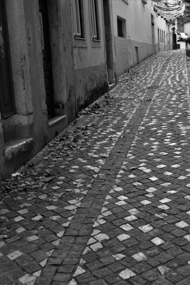 Photograph by João Figueiredo