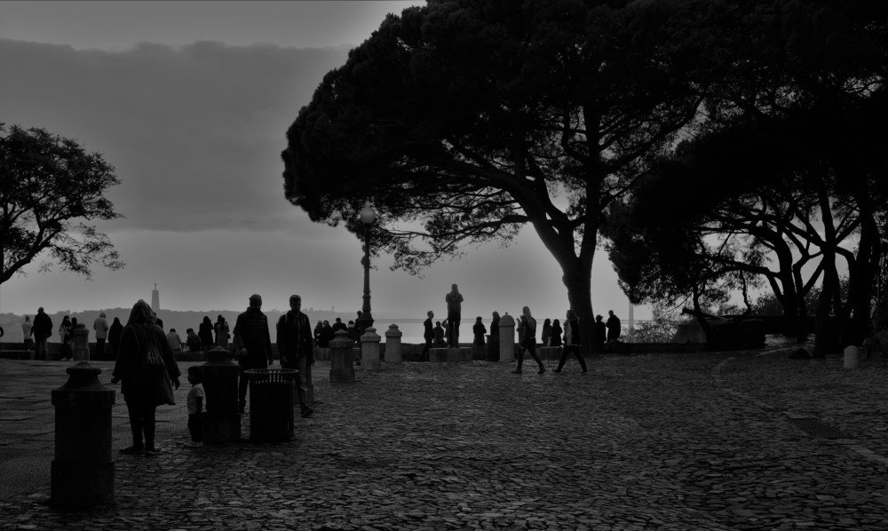 Photograph by João Figueiredo