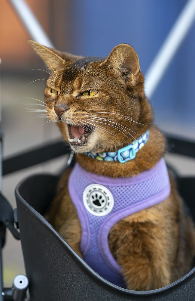 Photograph by Jelena Levsina