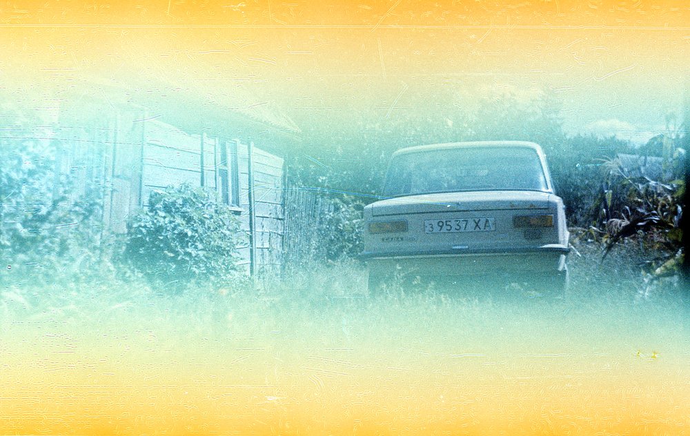 Приехали на дачу