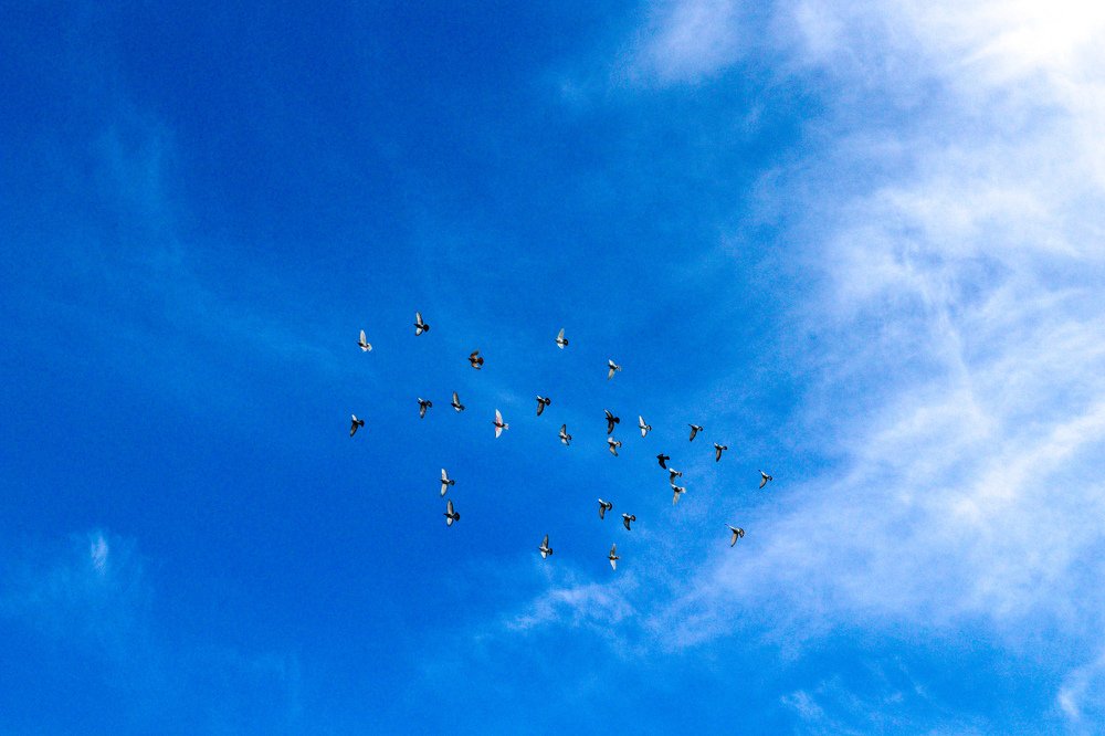 Photograph by Osama Khaleel