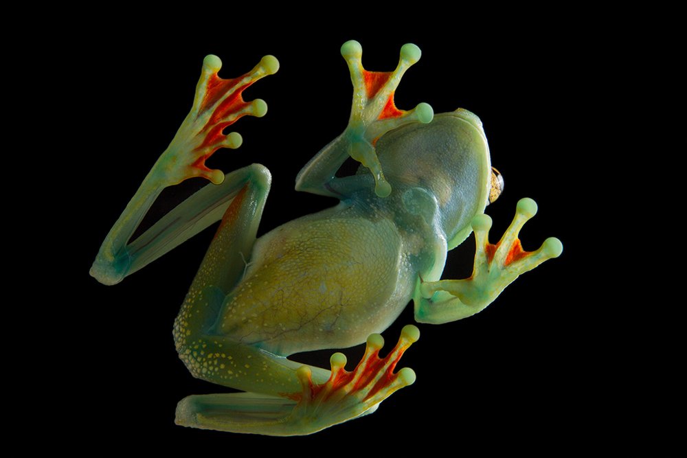 Photograph by Azaria Ruiz Villalobos