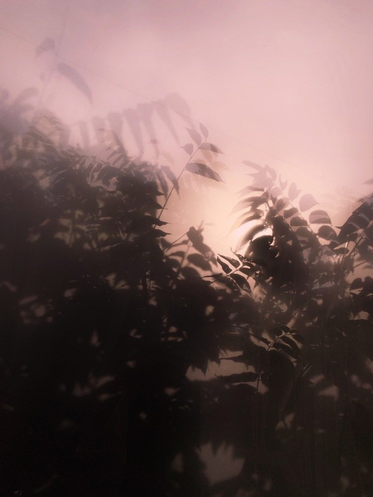 Розовое золото