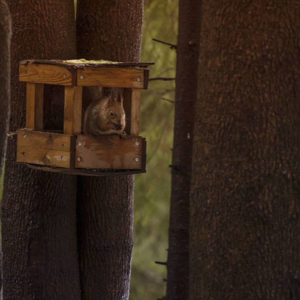 Photograph by Мария Никитина