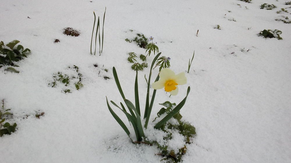 Фотография автора Александр Осинцев