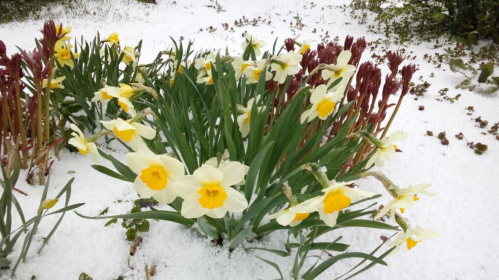 Фотография автора Александр Осинцев